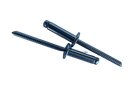 Standard Stainless Rivets RSTST